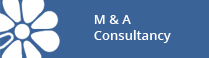 m-&-A-consultancy